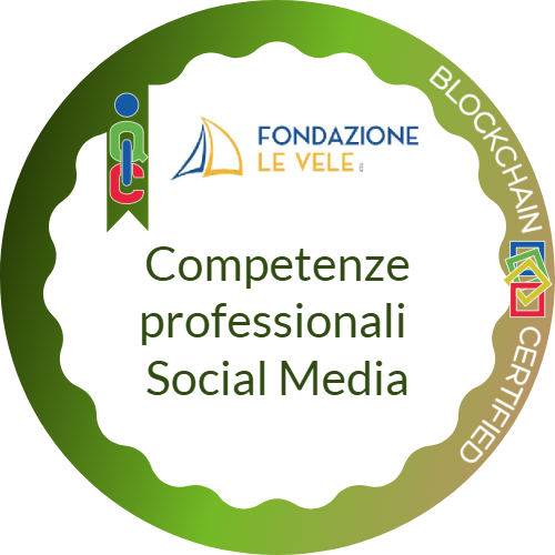 Competenze professionali Social Media